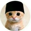.pp.kucing12