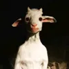 oyasumifalko