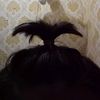 .nggiiiiiii