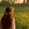 zo_wl2