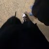bbennybo