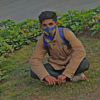 haidertarar5911