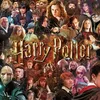 harrypotterlover80