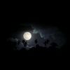 unknown_00831