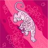 mdebrahim.khan79