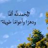 mss3434