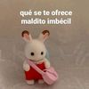 majo.mendoza84
