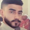 user491805078231