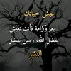 user87411007246875
