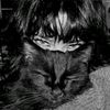 hafsa.ahmed74
