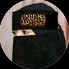 sherbahadar1323