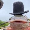 pez.pepe2tk