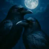the_white_crows