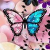 ashleylong2637