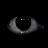 eyeree.1.0