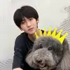 pov.jenxi