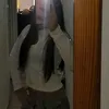 sofi_n.n4