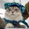 kittygoldie