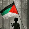 hunain.ali.247