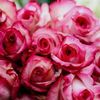 shivam.jha32