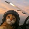 luccas7875