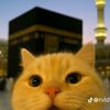 m.ghibran.athallah