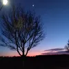 gisi_452