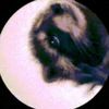 _gleepglorp_1