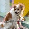 mila_24848