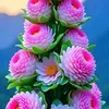 user1270081901566