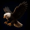 alinahmadabdullah9071