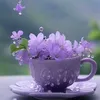 thanh.huyn2100