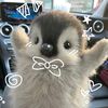 blueberrycute_1