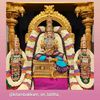 thangam.murugesan
