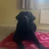 sanni.sateenkaari7
