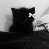 nikusia_3345