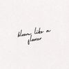 fitria.hapsari_