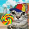kucing_bertopi1