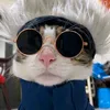 tronginh26