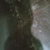 mahmoud129636