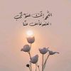user4834285269331