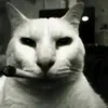 andrei_pog