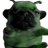 im_pibble_wash_my_bellu