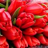 natalya_andrushchuk123