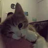 _mngytz_