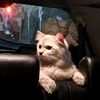 kriss_id12