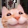 spl33na