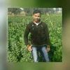user93101938278120