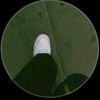 bringht7