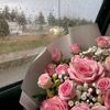 rayan.elkarem
